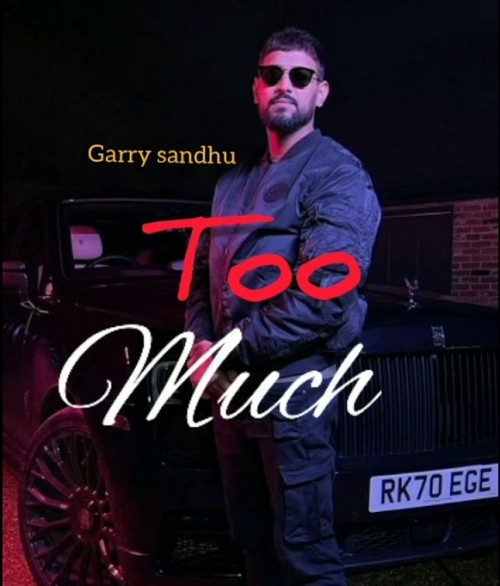 Too Much - Garry Sandhu Song